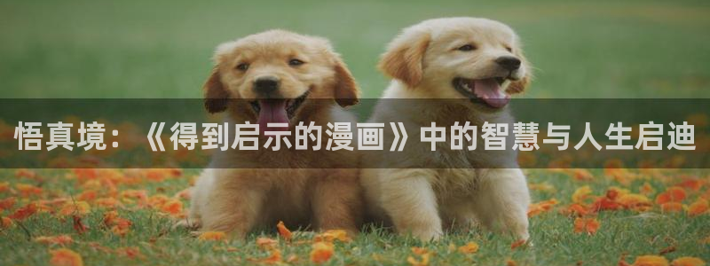 腐漫画免费