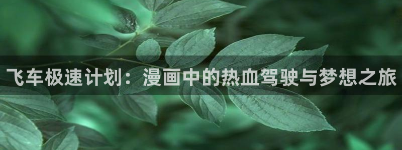 腐漫画app软件下载：飞车极速计划：漫画中的热血驾驶与梦想之旅