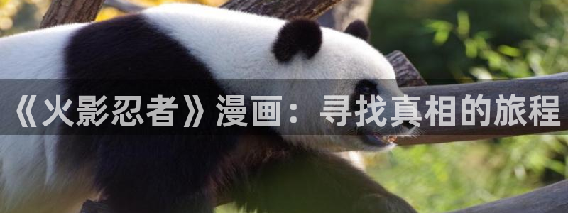 双男腐漫画网：《火影忍者》漫画：寻找真相的旅程