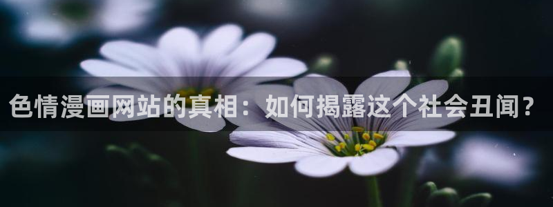 腐漫画h：色情漫画网站的真相：如何揭露这个社会丑闻？
