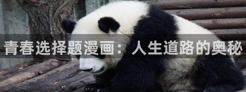 腐漫漫画在线看