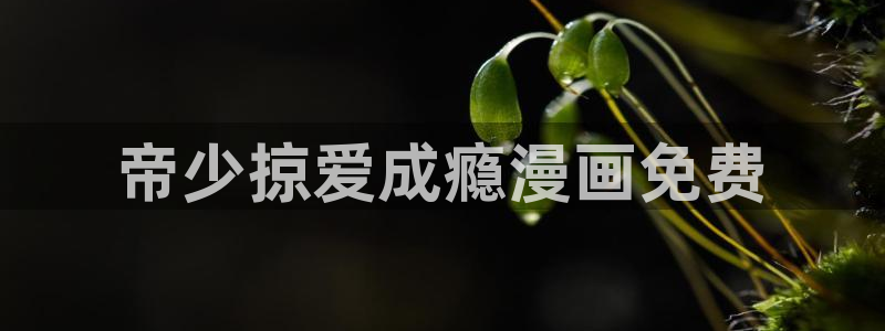 免费腐漫画下载