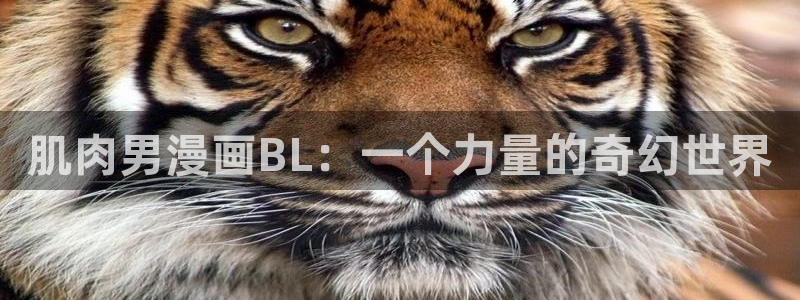 快看漫画腐漫