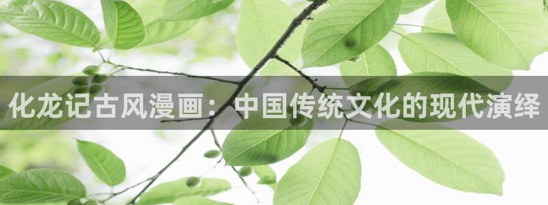 男男腐漫画网