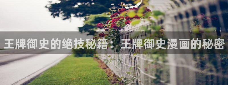 腐腐漫画车车网站