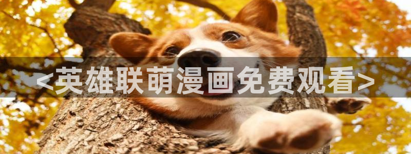 免费看腐漫画