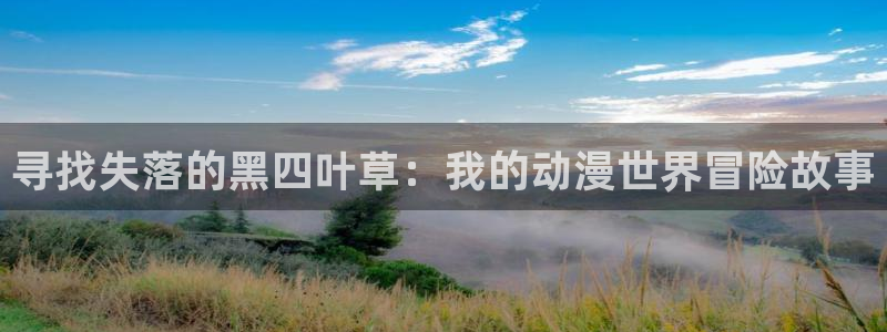 腐漫有什么