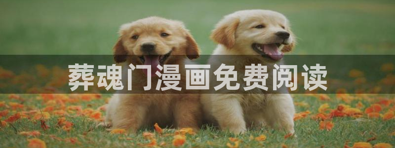 腐漫 肉
