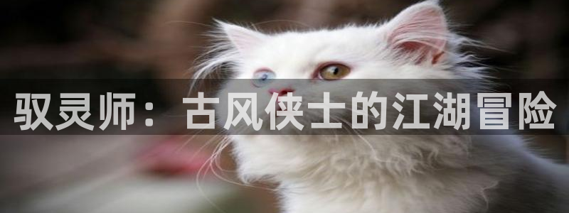 腐漫画吧