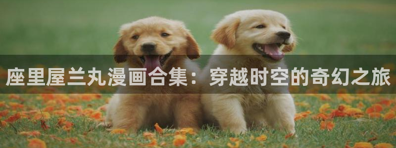 腐漫圈下载