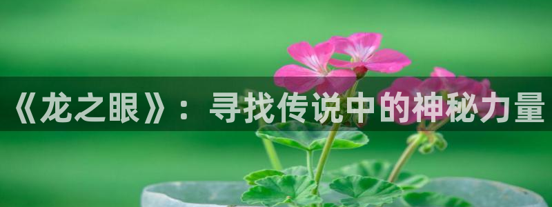 动漫腐漫