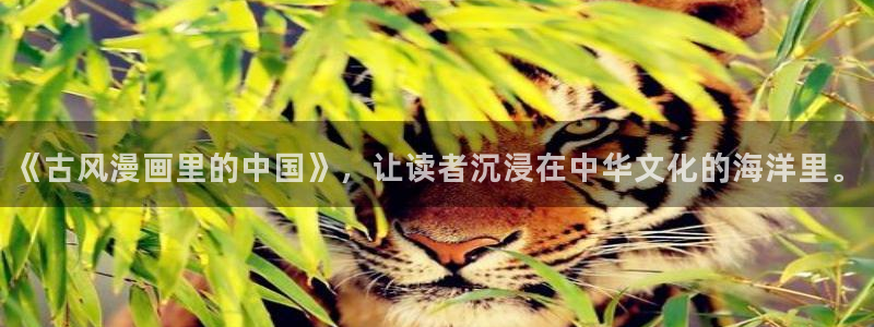 h腐漫
