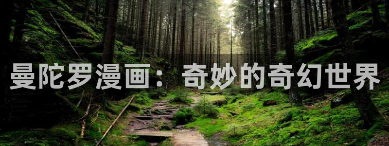腐漫双男主