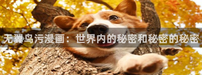 腐漫画平台