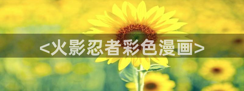 cc腐漫网