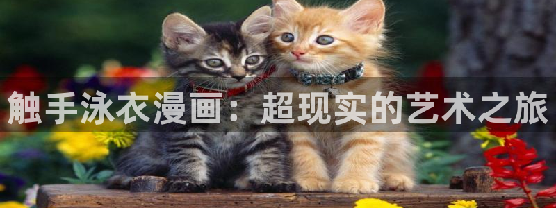 腐漫网