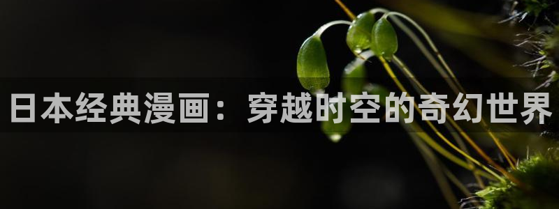 腐漫天堂