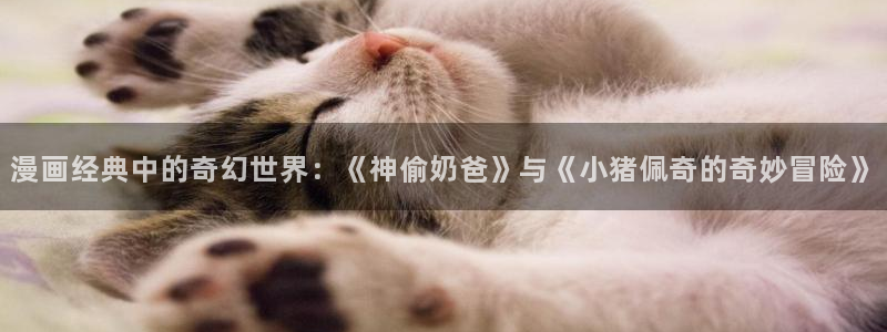 腐漫网在线