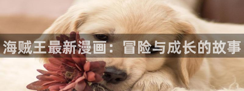男男腐漫有哪些
